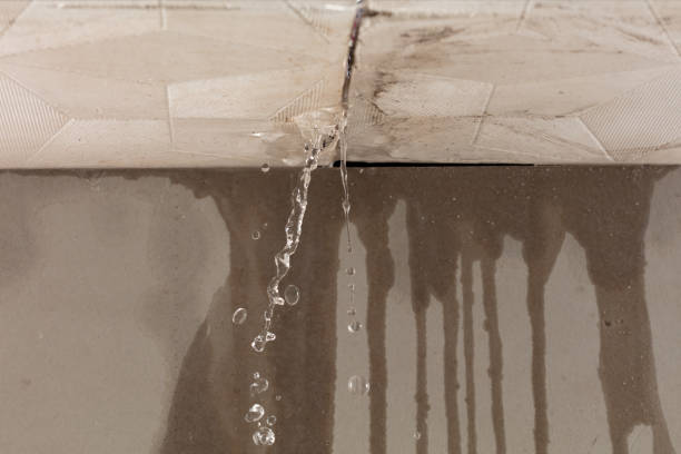 Professional Structural Drying technician working in Saratoga, IN
